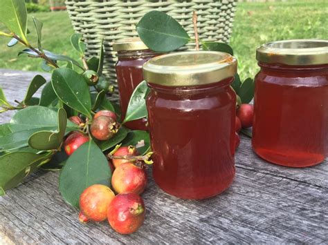 Learn how to make/prepare cherry jelly by following this easy recipe. Cherry Guava Jelly | Cooking with Sheridan