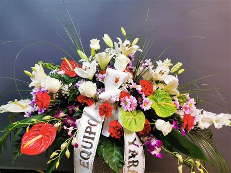 Propietario de floristeria incremente sus ganancias, genere confianza y credibilidad, en sus clientes potenciales con su sitio web, dando a. Centro Niza - Floristerías Arco Iris