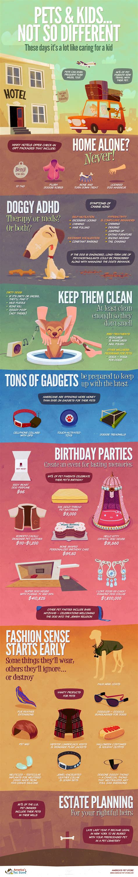 Infographics about the ways you can pamper your pet. PS vector shapes