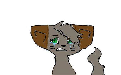 Sad Kitty By Derpykitty22 On Deviantart