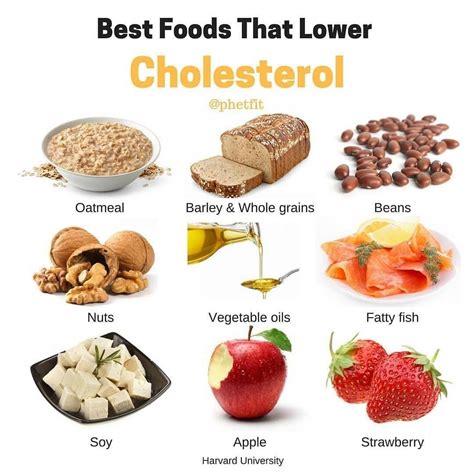 Hers is super bad and the doctor told her to stop eating foods with high cholesterol. Vegetarian Cholesterol Lowering Recipes : Benefits, recipe ...