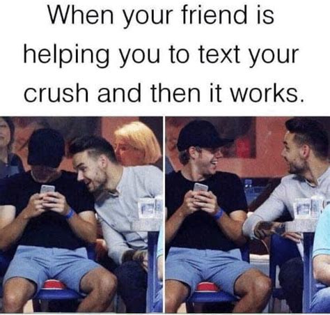 Funny Memes To Send To Your Crush