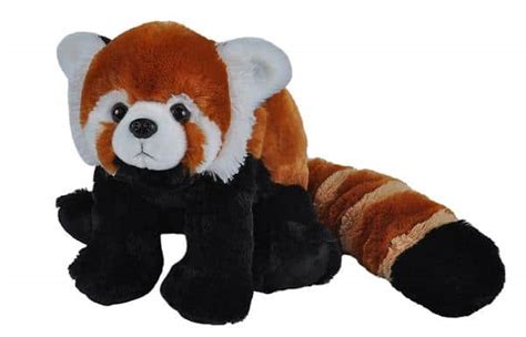 I'm hoping that these amazing facts will spark some interest and create awareness for these cute little. Red Panda 12" - A2Z Science & Learning Toy Store