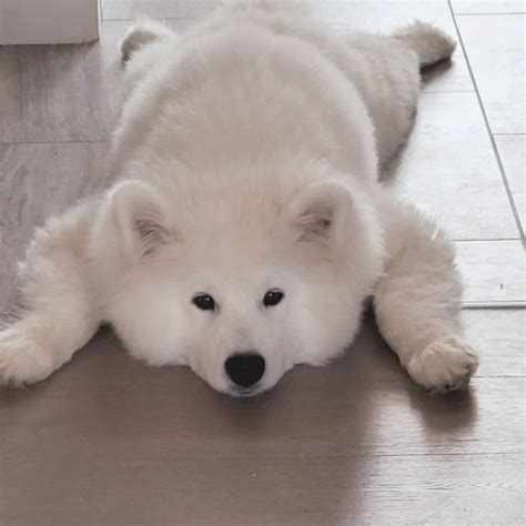 Alinity on Twitter: "I don't think I'll be streaming today. Dealing