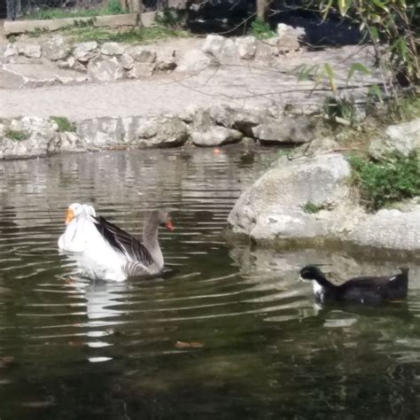 Do you feel your partner is unfaithful? Ιωάννα Παππά: Πρωινή βόλτα με τον γιο της στον Εθνικό Κήπο ...