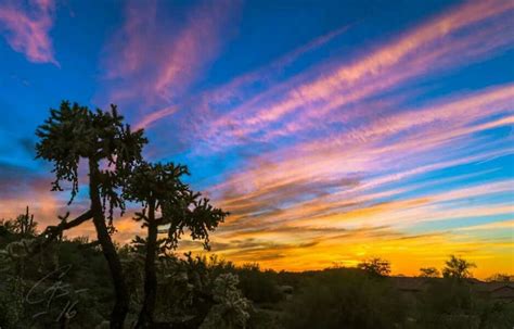 By Casey Stanford In Gold Canyon Arizona Gold Canyon Arizona Arizona