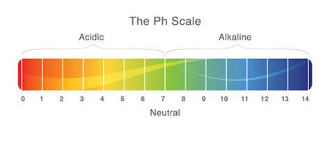 Check out the acidic and alkaline foods list to know what's best for ph balance. The pH Balance | Blawnde