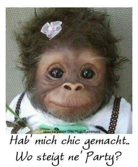 Vielleicht gibt es da draußen ja doch noch alles schön und gut, sehr ersichtlich. witzig: 238 News von Bürgerreportern zum Thema