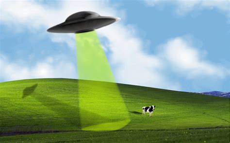Microsoft windows xp defined an era in personal computing. Windows XP Default Wallpaper Location - WallpaperSafari