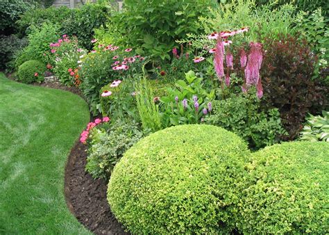 evergreens mixed with perennials in the beds around the house landscaping trees garden plants