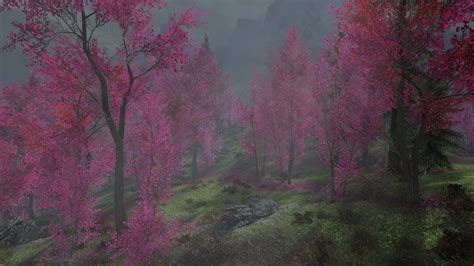 Aspens To Cherry Blossoms Sse At Skyrim Special Edition Nexus Mods