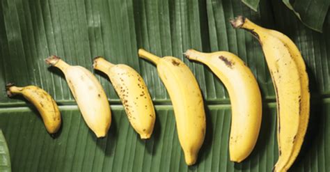 20 Benefícios Da Banana Para A Saúde