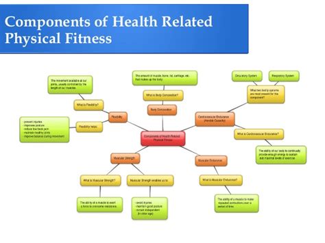 (1) body composition, (2) flexibility, (3) muscular strength, (4) muscular endurance, and (5) cardiorespiratory . What Are The Five Areas Of Health Related Fitness ...