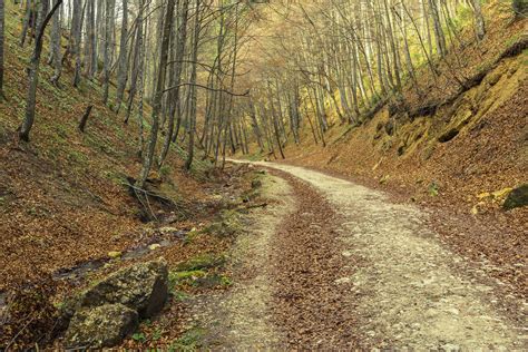 Travel Guide To Chattanooga Hiking Trails | The Adventure ...