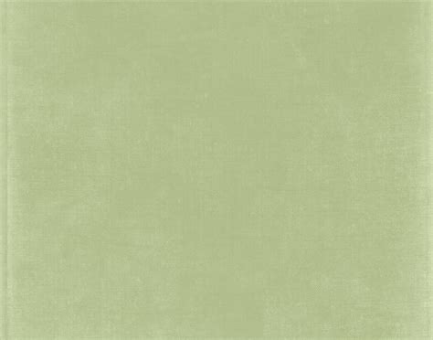 Sage Green Simple Background Carrotapp