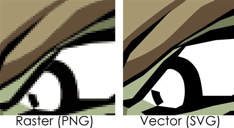 Vector Vs Raster Whats The Difference Packhelp