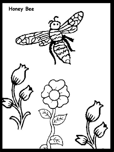 Subtitle of part of web page, if appropriate. Honey Bee Coloring Page - Coloring Home