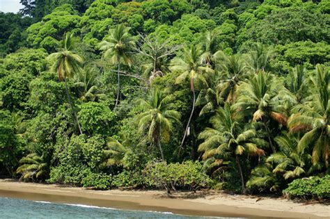 10 Best Places To Visit In Costa Rica With Map And Photos