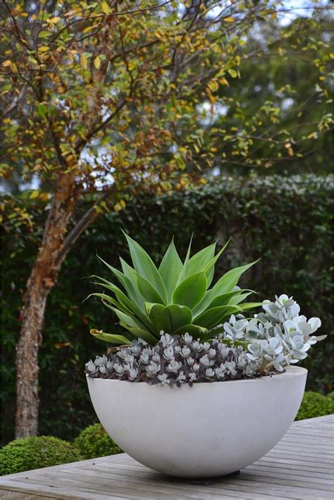 Diy small hanging planter pallet wood hometalk. 44 Inspiring Outdoor Potted Plant Entryway Ideas That Will ...
