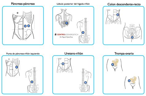 Pares Especiales Par Biomagnético Centrobioenergetica Par