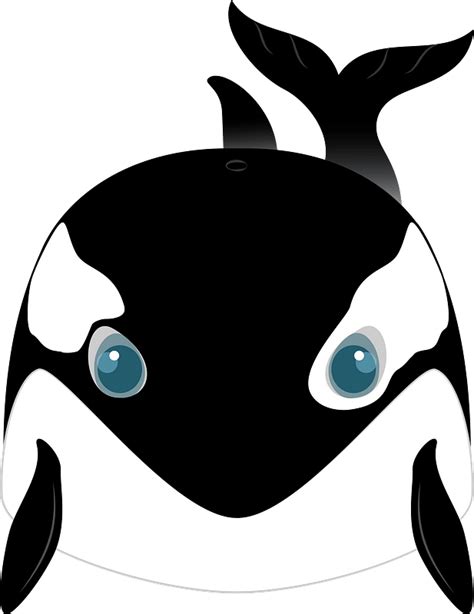 Killer Whale Clipart Free Download Transparent Png Creazilla