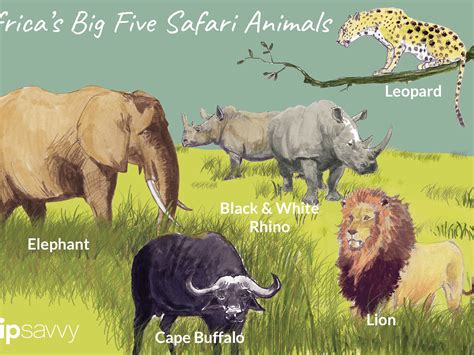 But name any two (or more) animals. Unique African Animals List / List Of African Animals Beginning With Letters A To Z / Lions ...