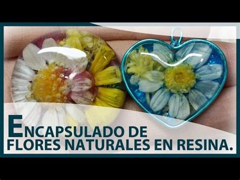 Maybe you would like to learn more about one of these? What happens when you put fresh and dry flowers in resi ...