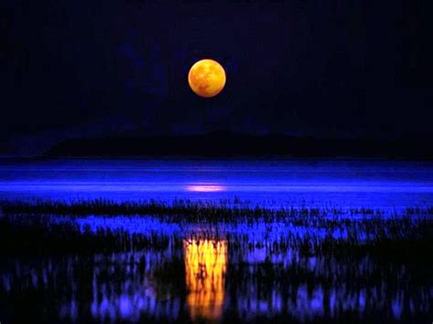 Full Moon Orange Over Blue Water Scenery Beautiful Moon Sunrise Sunset