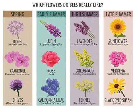 What flowers do bees like best. Pin on Gardening