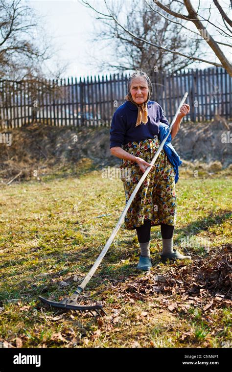 Old Farm Woman Spring Cleaning With A Rake In A Walnut Orchard Stock