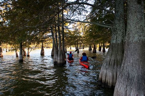 Chicot state park campground is next to lake chicot and has 198 campsites (with water and electrical hookups) for tents, trailers and rvs. Lake Chicot from a Pontoon Boat | Only In Arkansas