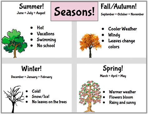 4 Seasons Activities Poster Seasons Of The Year Made By Teachers