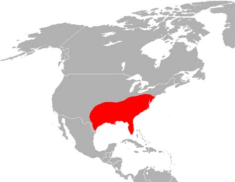 Abes Animals Historical Red Wolf Range Map