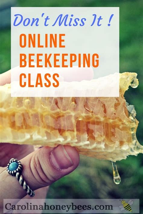 Learn How To Be A Beekeeper With This Online Beekeeping Class By A Master Beekeeper Becoming A