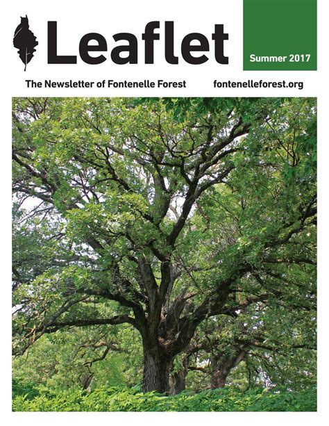 Fontenelle Forests Leaflet Summer 2017 By Fontenelle