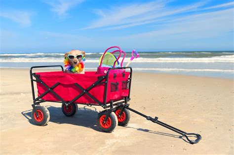 Best Wagons for Dogs: The Top 10 Woof-Worthy Wheels