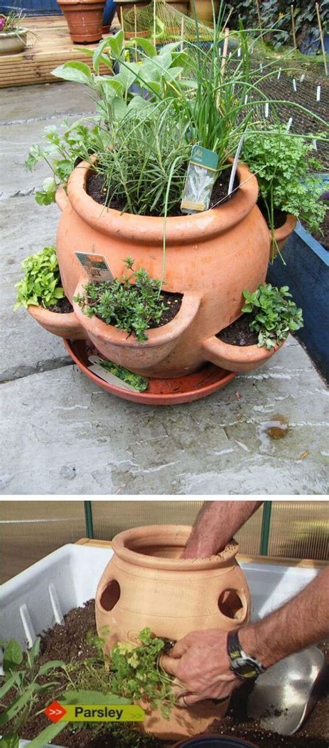 Find modern plant pot & more at west elm®. How to Plant a Strawberry Pot: 20+ Creative Strawberry Pot ...