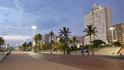 Durban Beachfront Holiday Accommodation Flats And Apartments And More Stayz