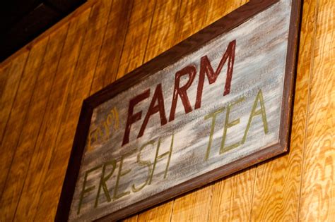 Check spelling or type a new query. Gift Shop — Charleston Tea Plantation