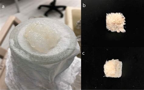 Bc Before And After Freeze Drying A Collected Bc Pellicles B