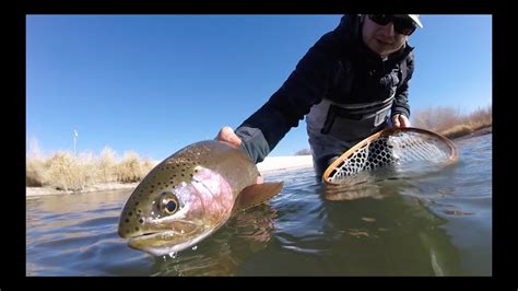 Fly Fishing The Arkansas River Pueblo Tailwater December 2017 Youtube