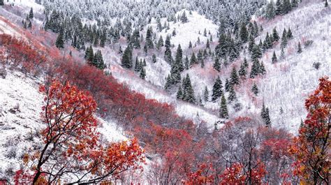 The Moment When Autumn Combines With The Winter Landscape Winter