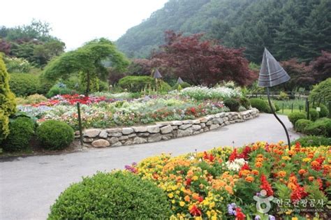 Korean Peninsula Wild Flower Exhibition Of The Garden Of Morning Calm
