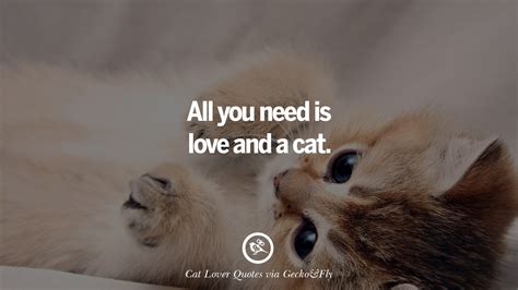 New Cat Love Quotes Sayings Love Quotes Collection Within Hd Images