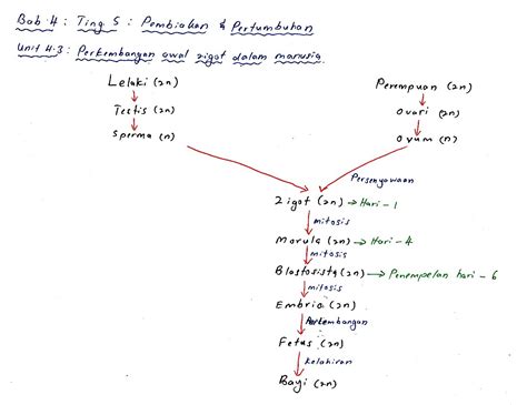 Download & view latihan topikal biologi tingkatan 4 bab 5 as pdf for free. Bijak Tekun: Nota Kreatif Biologi Tingkatan 5 : Bab 4