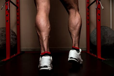 But should it be banned? How To Build Calf Muscle For Strong Legs | Muscle Prodigy