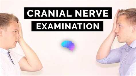 A Step By Step Approach To Cranial Nerve Examination In An Osce Setting Sexiz Pix