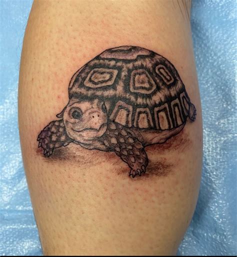 Tortoise Tattoo By Audrey Mello Tortoise Tattoo Turtle Tattoo