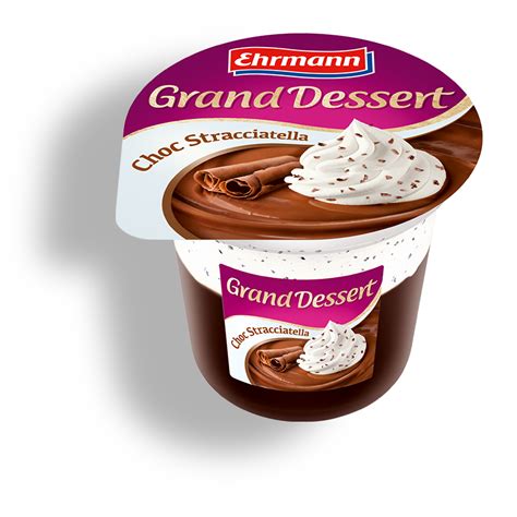 Grand Dessert Chocolate Stracciatella Ehrmann Pl