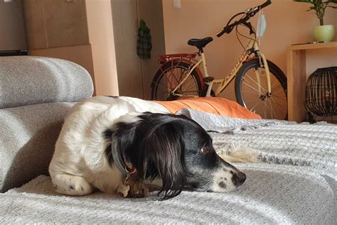 Life Priorities, Professional Growth, Life Decisions, Remote Jobs